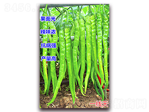 һ(xin)-N-f(wn)r(nng)I(y)