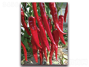 M(mn)t23̖(ho)-N-tl(f)NI(y)