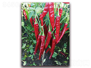 M(mn)t2̖(ho)-N-tl(f)NI(y)