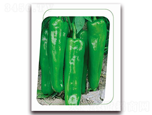 5̖-N-(yu)r(nng)I(y)