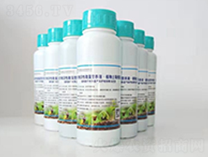 Сˮ΢I(yng)B(yng)ҺҺ-