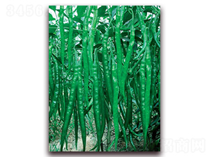 (yu)̖-N-(lin)SNI(y)