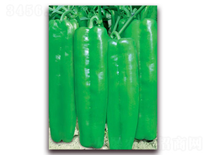 911-ݽN-(lin)SNI(y)