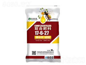 ͺϷ17-6-27--ס̺긣