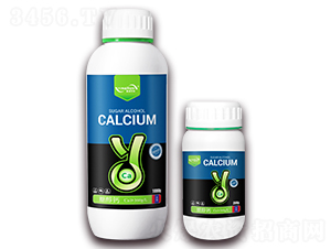 Ǵ}-ӯ(rn)r(nng)I(y)