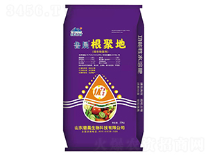 微生物菌劑-魯晨根聚地-魯晨生物