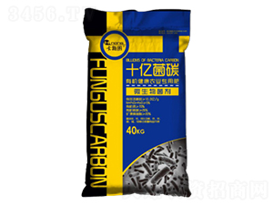 ʮ|̼΢-r(nng)r(nng)I(y)