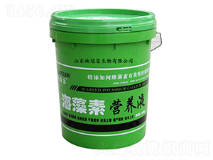 ؠI(yng)B(yng)Һ-عڸ