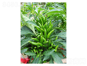 һ֦(d)-콷N-r(nng)f