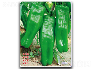 ޟo(w)-N-մr(nng)I(y)