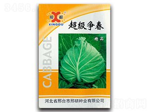 (j)(zhng)-{(ln)N-зNI(y)