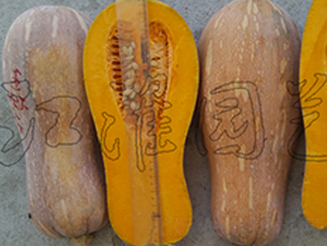 (yu)1̖(ho)-ϹϷN-@ˇ