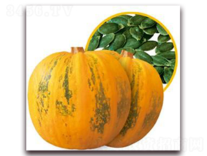 MF1-o(w)ϹϷN-iNI(y)