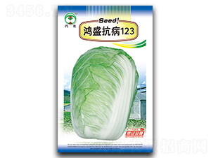 鴻盛抗病123-白菜種子-鴻盛園