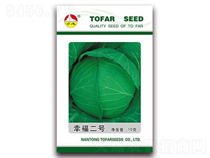 幸福二號-甘藍種子-東方種業(yè)