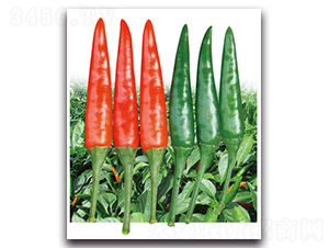 F1̖(ho)-N-}r(nng)I(y)