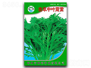 翡翠中葉茼蒿-茼蒿種子-嵊科種業(yè)