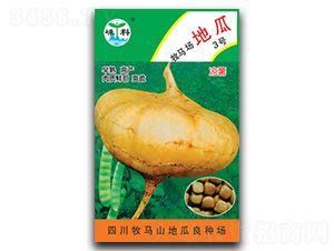 良種地瓜-地瓜種子-嵊科種業(yè)