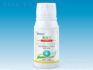 ׷˪ù(zhun)΢-΢-r(nng)I(y)