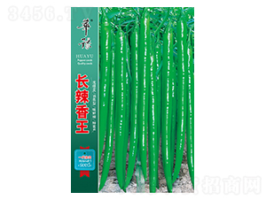 L(zhng)-N-Դr(nng)I(y)