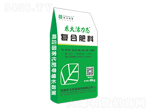 |B(ti)ͺϷ10-10-10-|Ƽ