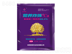 IB(yng)ըCa-ِr(nng)I(y)