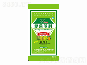 Чʧ(f)Ϸ22-12-8-Դ-ʢ