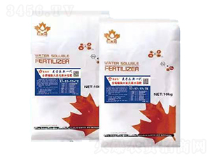 VԴS⛴Ԫˮܷ-(rn)fS