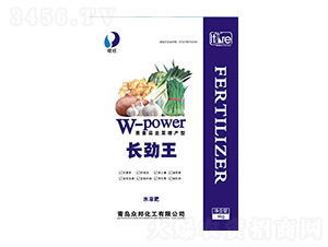 L(zhng)[²a(chn)ͣ-ؠ