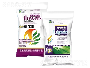 ݻ+ľ|(zh)؛_ʩιˮܷ-ԣ߿