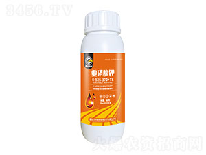 0-525-370+TE-i_r(nng)