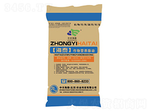 ̩IB(yng)}(dng)-r(nng)̩