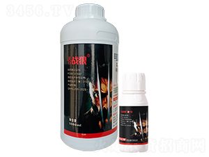 x(chng)(zhun)ˎM(jn) σ(yu)ʿ