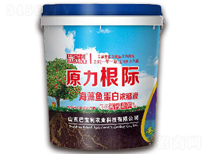 }~םsҺ-ԭH-͌r(nng)