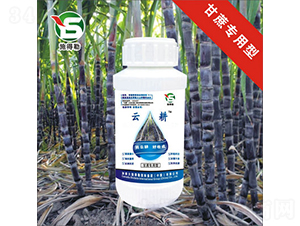 ጣ~-ʩ-Ƹr(nng)I(y)