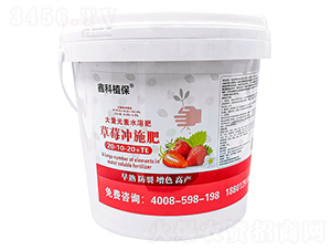 ݮ_ʩ20-10-20+TE-οֲ