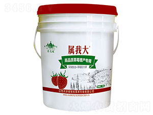 Ʒ|(zh)ݮa(chn)÷-Ҵ-ɽ|