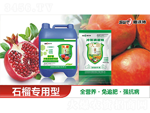 ʯˮԛ_ʩι-ֶr(nng)I(y)