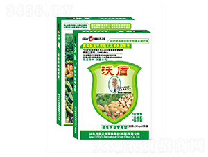 b󶹌(zhun)~-ֶr(nng)I(y)