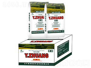 Y.ZHUANG(yu)-ir(nng)I(y)