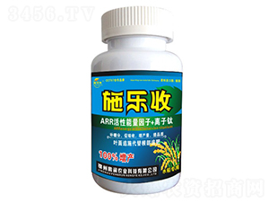 ˮ~-ʩ-i(rn)r(nng)I(y)