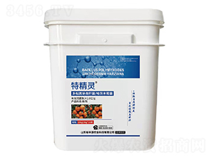 ճѿߗUľù-ؾ`-ԣSԴ