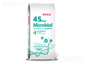 Сm÷2-кS-кʘI(y)