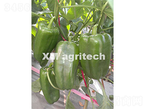 (mng)¶-N-r(nng)r(nng)I(y)