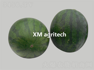 (j)o(w)-ϷN-r(nng)r(nng)I(y)