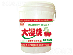 Ҍ(zhun)àI(yng)B(yng)--(rn)