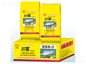 Ԫˮܷ20-20-20+TE--(rn)