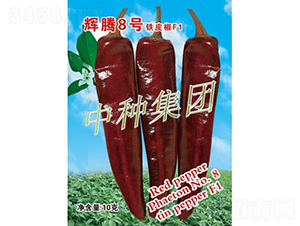 xv8̖(ho)-N-зNF(tun)