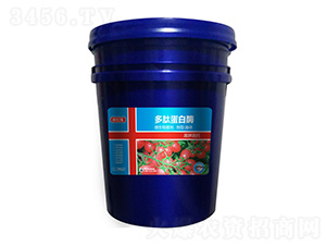 ĵø-Сt-f(wn)r(nng)