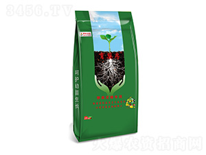 뷿Զֲ(zhun)ã-ļB(ti)